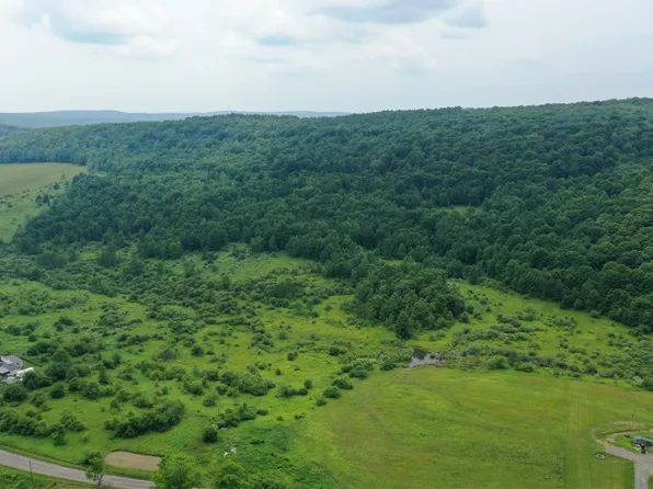 LOT 1 Pease Hill Rd #1, Truxton, NY 13158