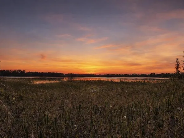 8335 Florida Boys Ranch Rd #1300, Groveland, FL 34736