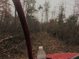 James Chapel Rd, Olive Hill, KY 41164