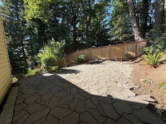 Backyard patio , good for afternoon teatime
