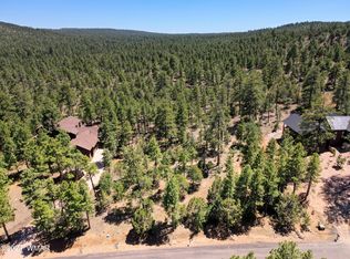 3061 Sage Ln, Show Low, AZ 85901