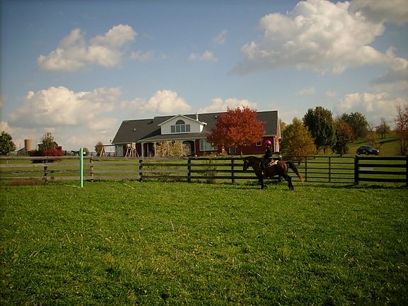 Back View from Arena