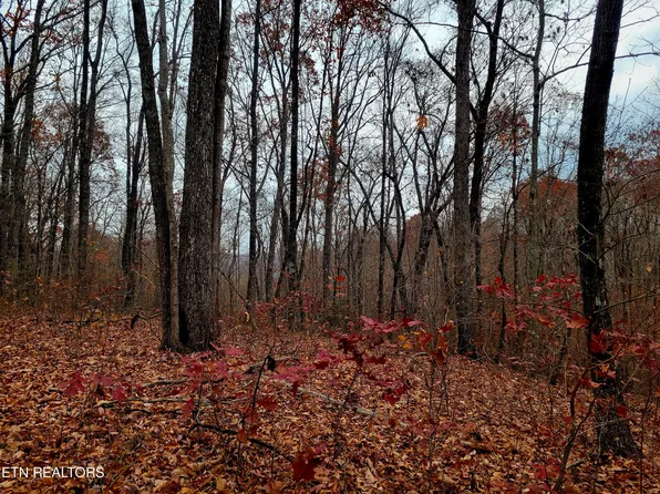 West Pl, Monterey, TN 38574