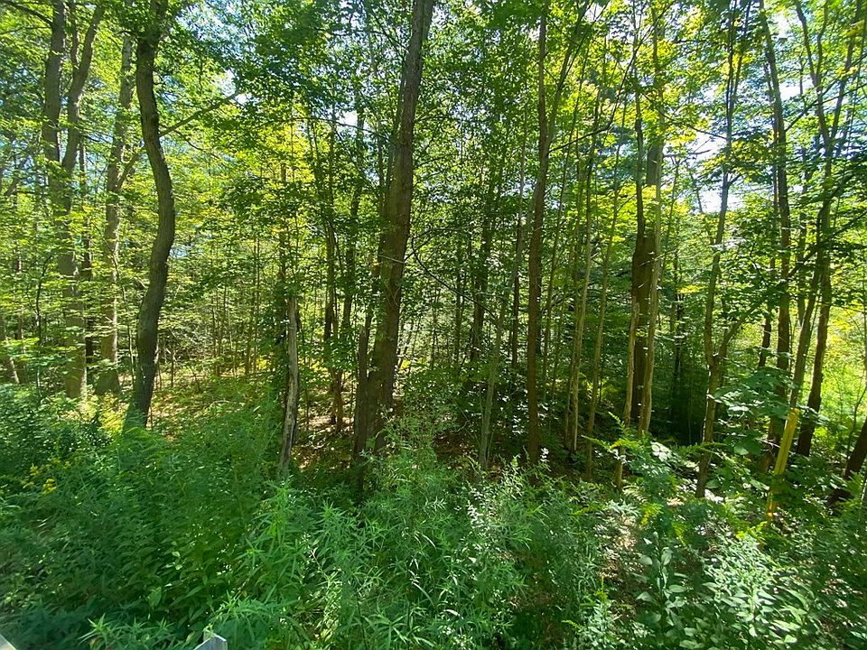 2nd image of 0 State Rd