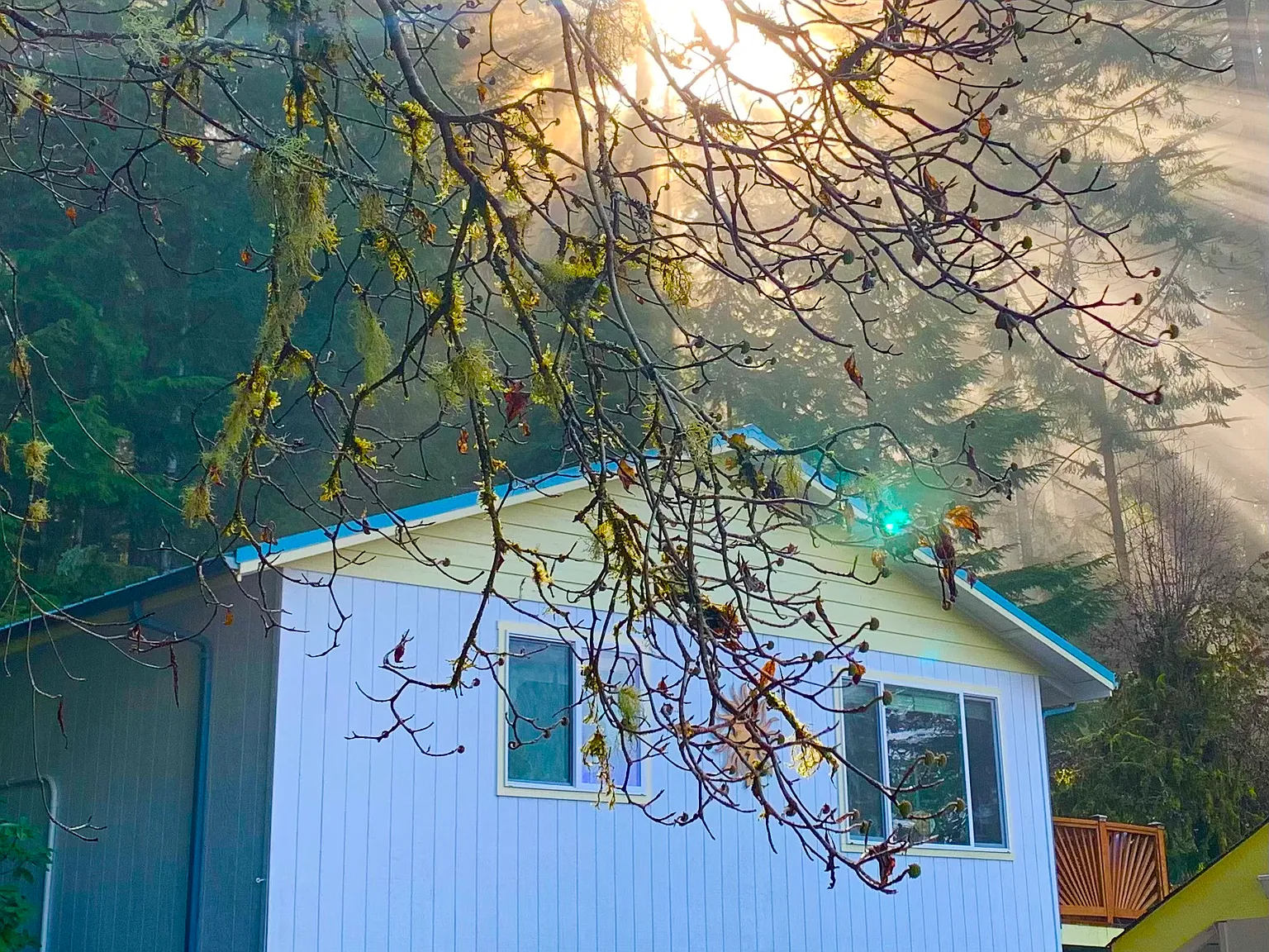 2 bed, 850 sqft, $2,800 — Photo 3