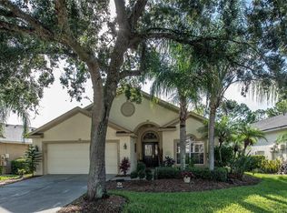 3332 Stonebridge Trl, Valrico, FL 33596