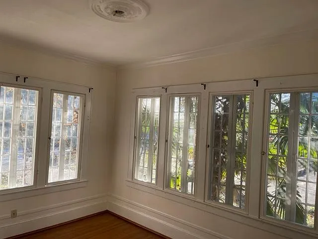 There is a hardy palm tree outside the sunroom windows.