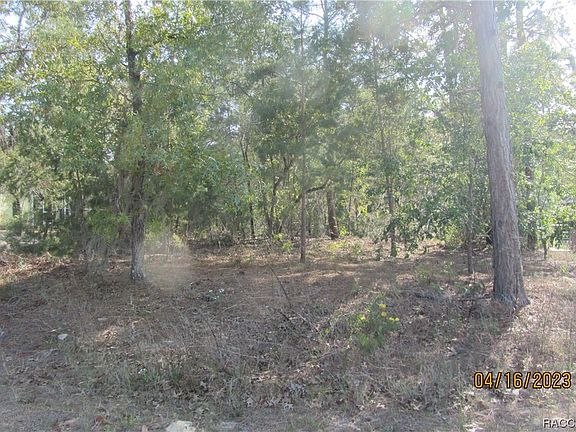 5th image of 9212 N Akola Way