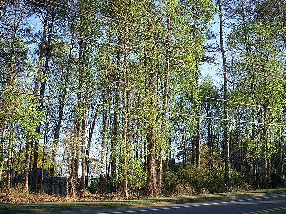 Extra lot right of driveway