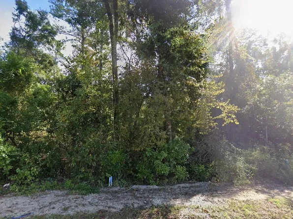 44 Chicopee Rd, Crawfordville, FL 32327