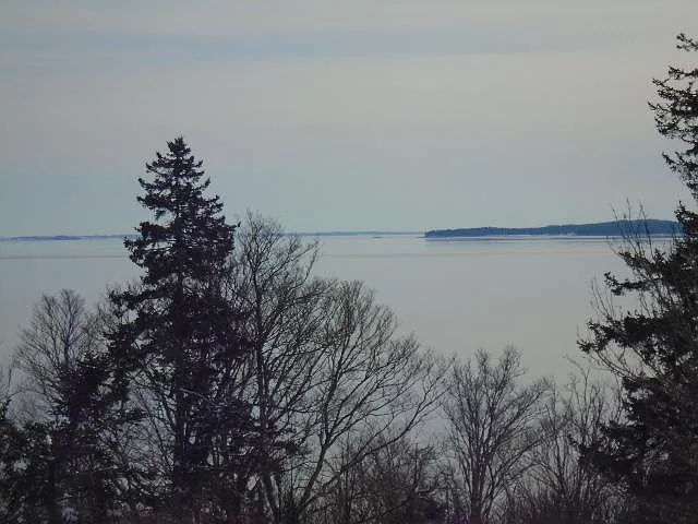 3 bed, 2431 sqft, $2,975 — Photo 2