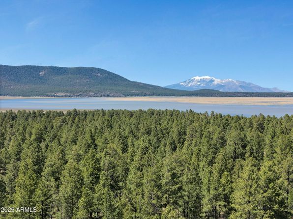 77 Blue Ridge Rd, Mormon Lake, AZ 86038