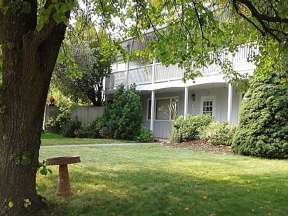 Shaded front yard