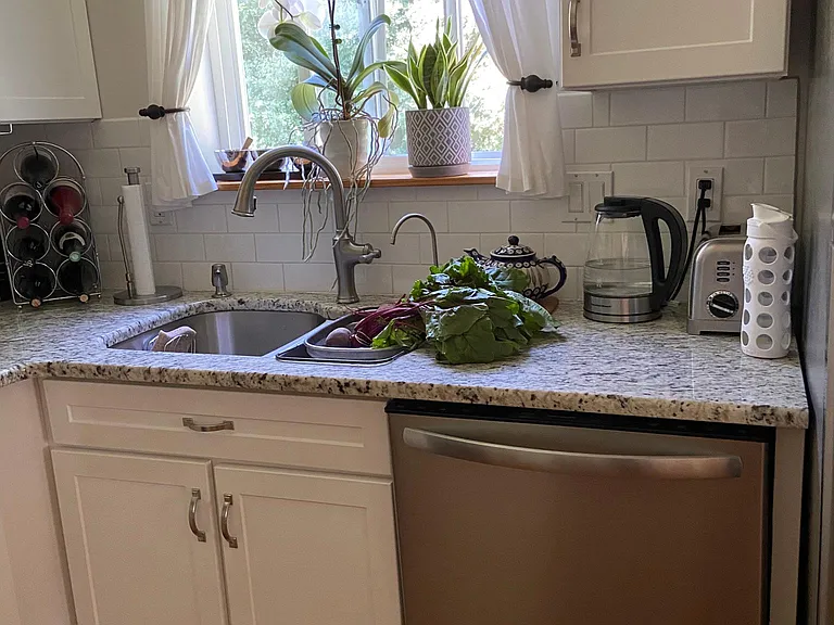 1124 Fern Hollow Dr — Photo 3