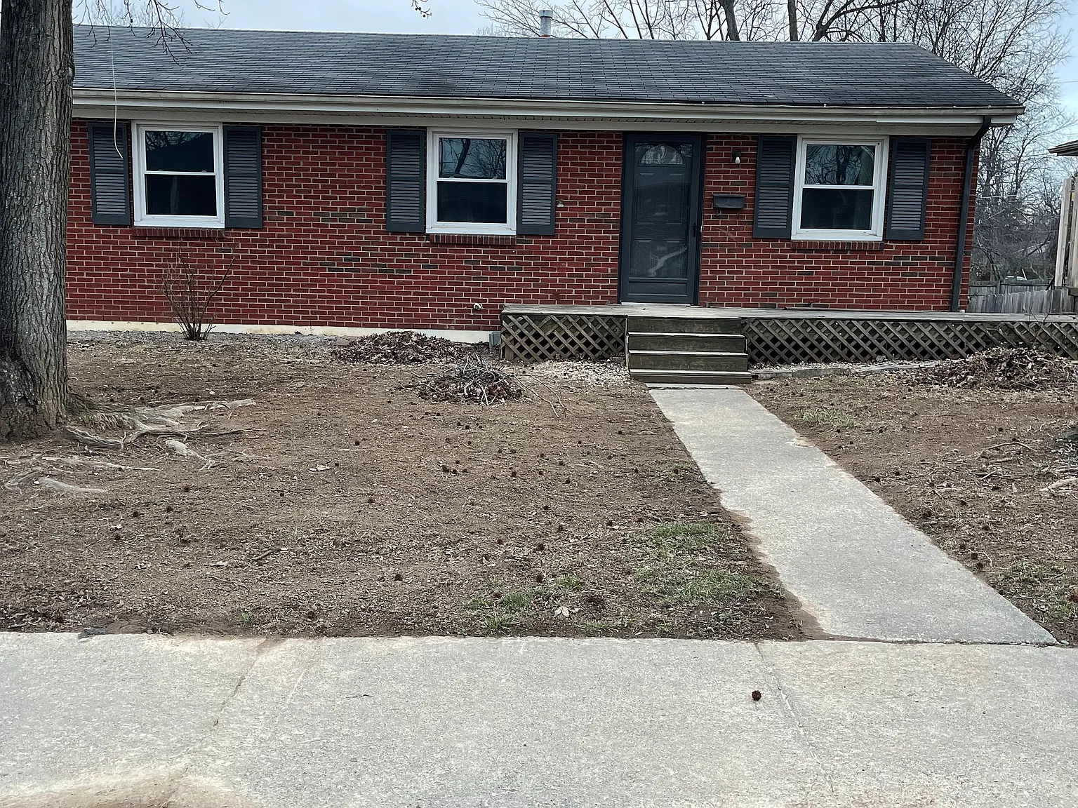 Temple Dr, Lexington — Photo 1