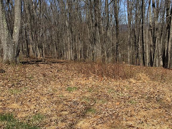 5th image of 3409 Mill Iron Rd