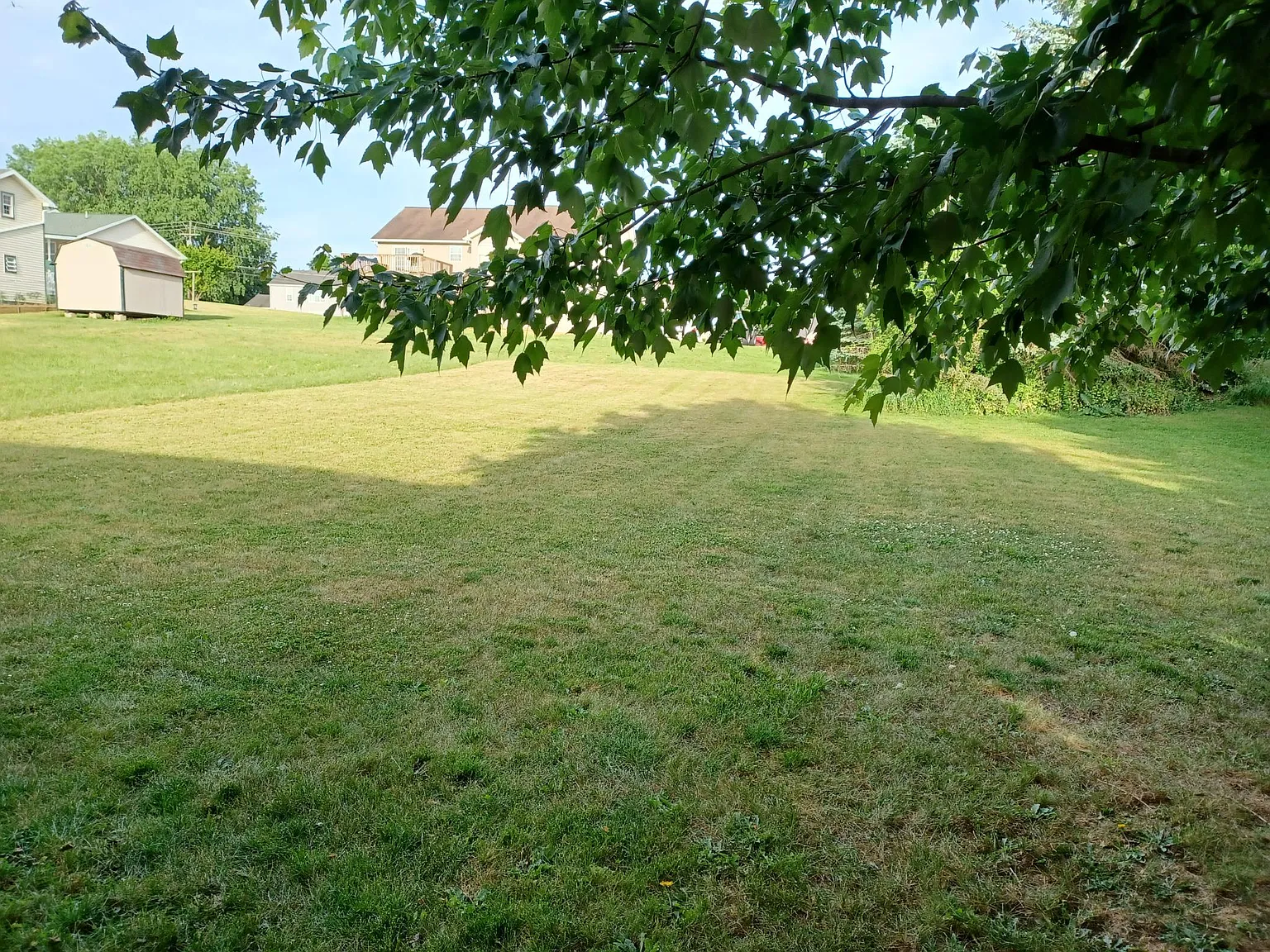 3 bed, 1394 sqft, $1,600 — Photo 3