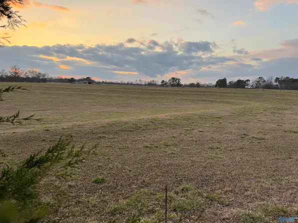 31/smith Dr, Horton, AL 35980