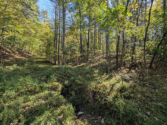 2nd image of 325 Highland Farm Rd