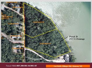 473 Ellinger Road Parcel #D, Indian River, MI 49749