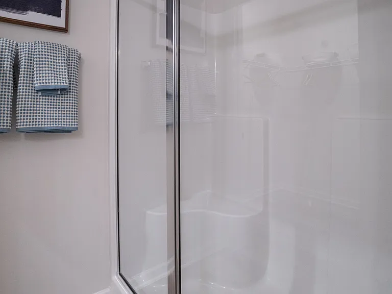 Primary bathroom walk-in shower