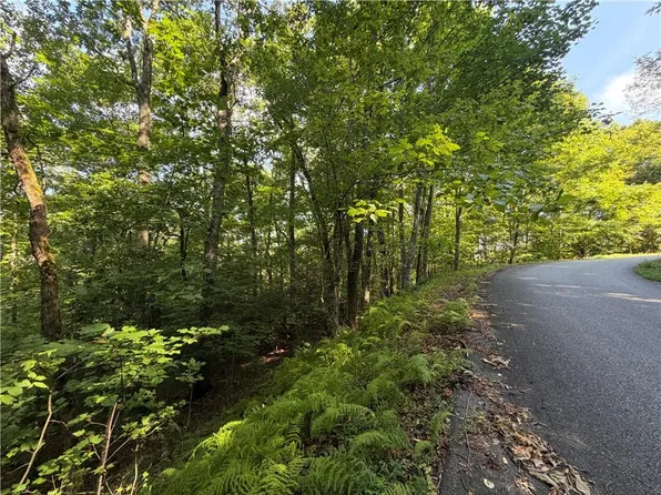 5 Mill Ridge Rd #5, Hiawassee, GA 30546
