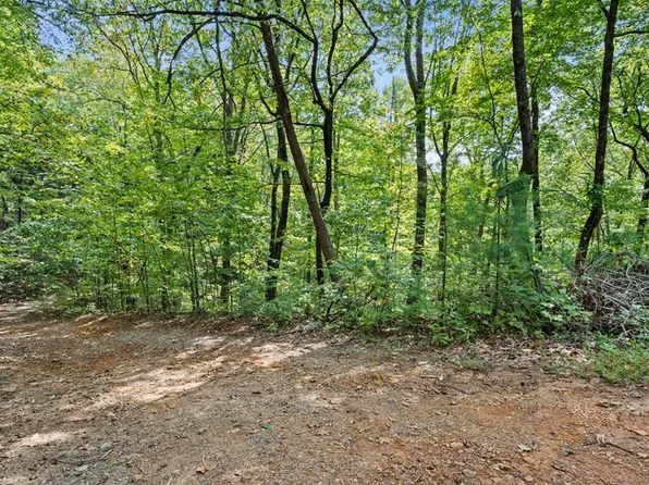 23 Lake View Dr #B, Cherry Log, GA 30522