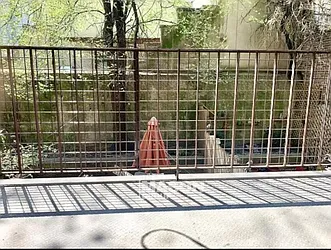 Rented by Mason Group LLC