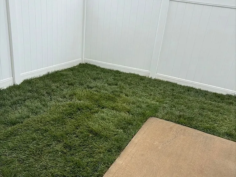 3915 Straw Hat Rd — Photo 10