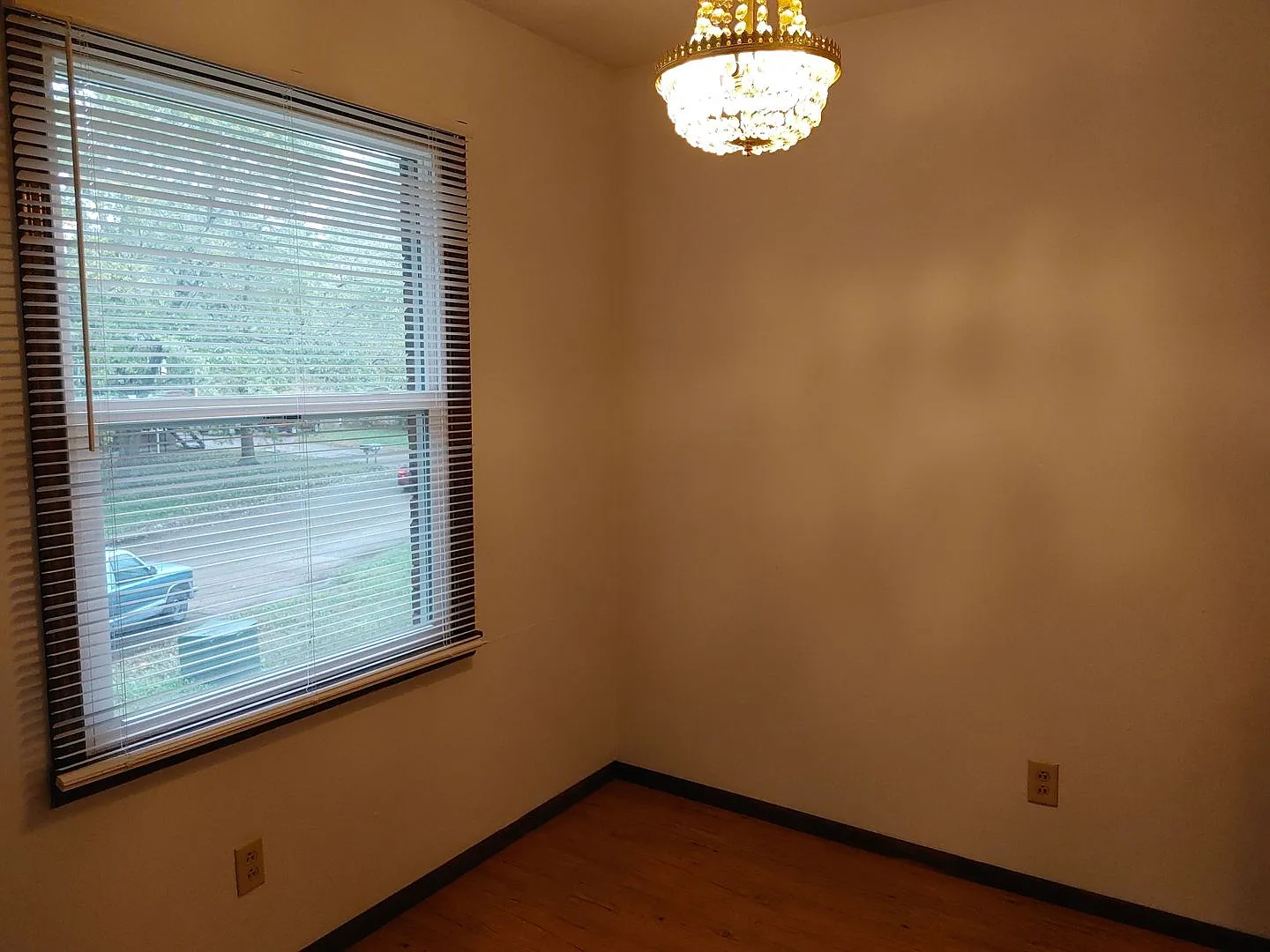 Boxwood 616 — Photo 4