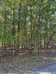 0 Hawkins Rd LOT 14-15, Evington, VA, 24550