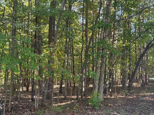 0 Hawkins Rd Lot 14-15, Evington, VA 24550