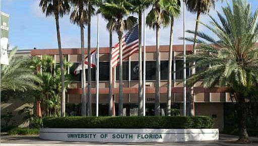 Nearby to USF