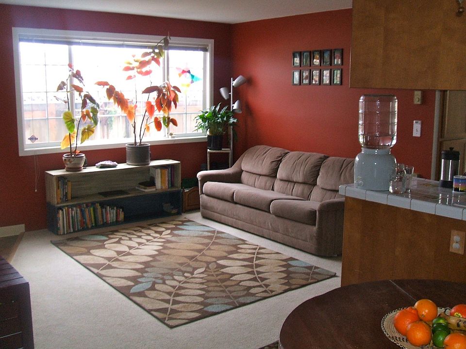 Sunny Living Space