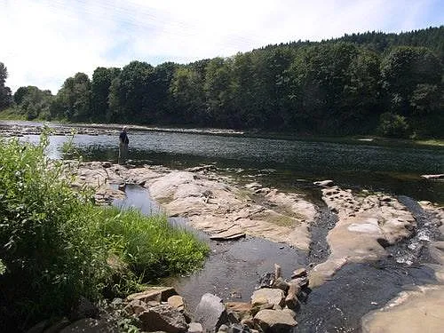 Paradise Creek Rd, Elkton — Photo 4