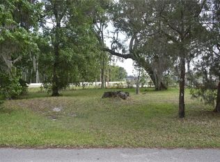 LOT 61 BLK C LEXINGTON CIRCLE LOT 61, WILDWOOD, FL 34785