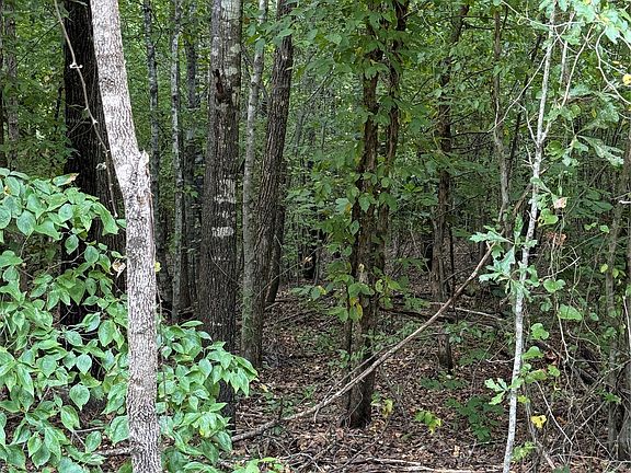 2nd image of 2346 County Road 4284