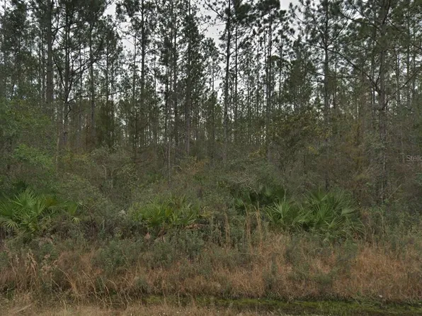 4255 Edward St, Hastings, FL 32145