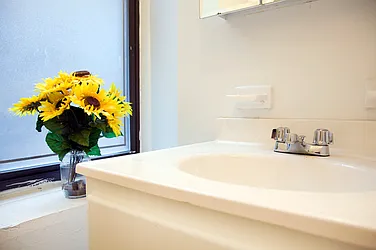 Rented by APT212 INC