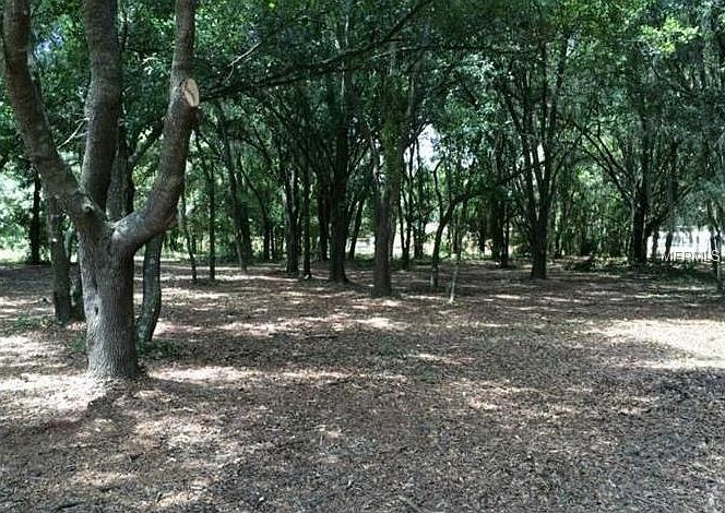 2nd image of 0 Woodale Dr