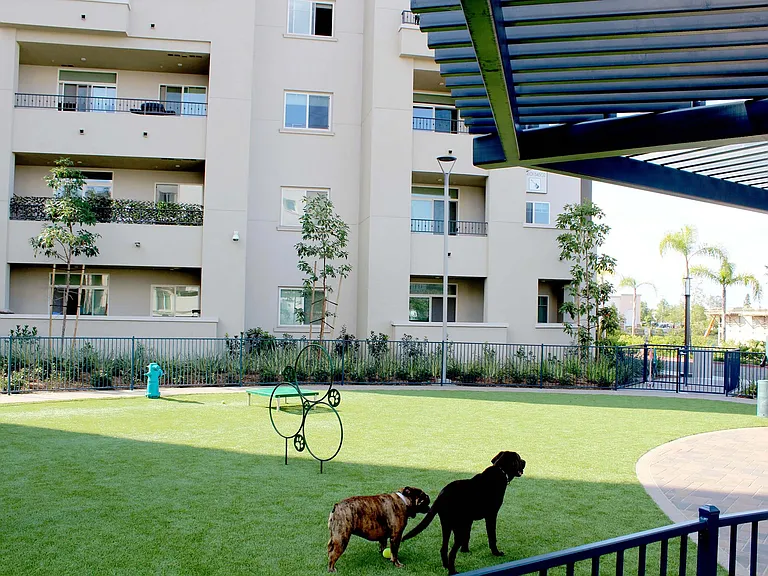 Casa Mira View Apartments — Photo 98