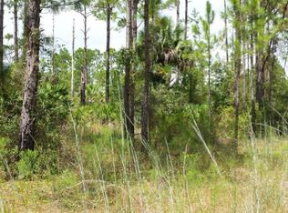 105 Ardmere St, Georgetown, FL 32139