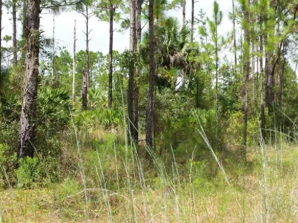 105 Ardmere St, Georgetown, FL 32139
