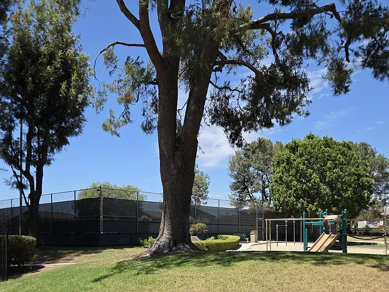 HOA 8_07212026