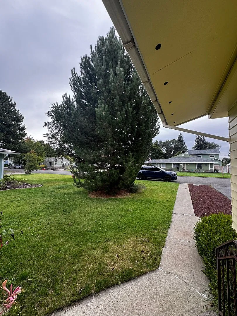 Spacious 2-Bedroom Home Near Parks & Hospital — Photo 4