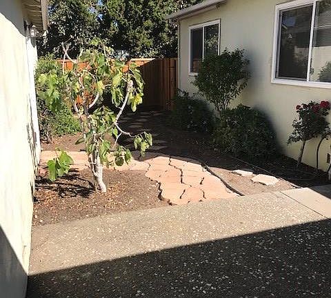 Duplex shared courtyard