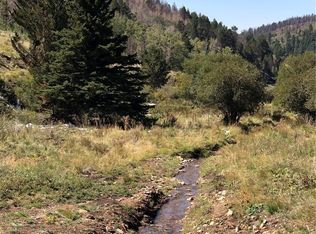 443 Schierl Rd #443, Fort Garland, CO 81133