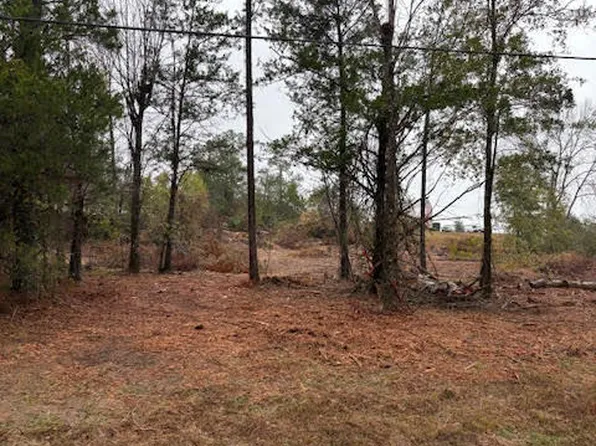 4593 Meadowview Rd, Marianna, FL 32446