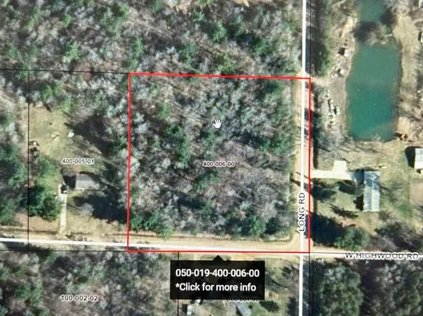 S Long Rd, Beaverton, MI 48612