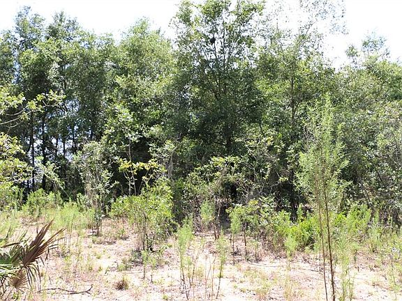 4th image of 40641 County Road 452